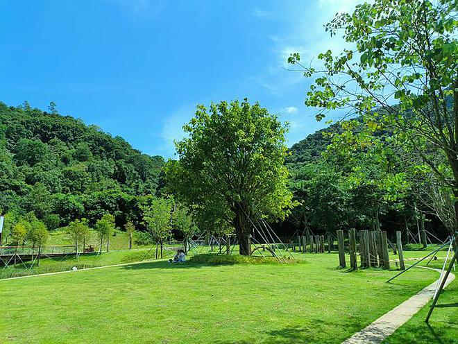 野猪闯村：坟墓与逝者之谜